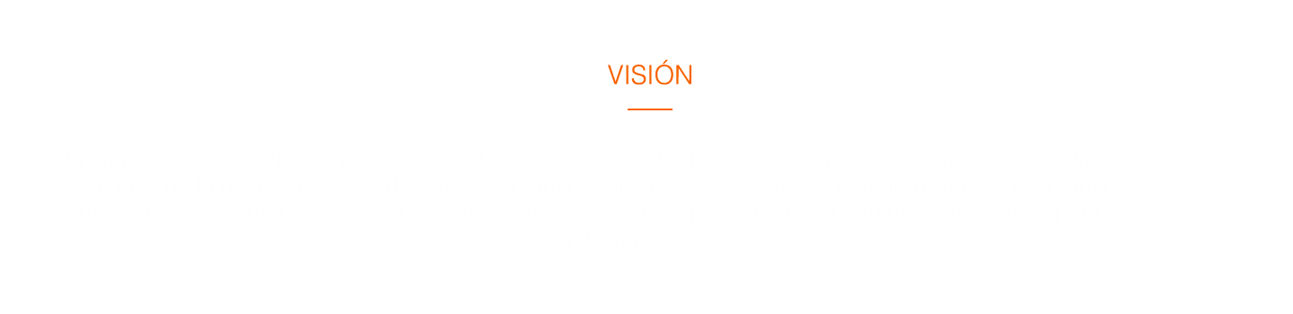 VISION